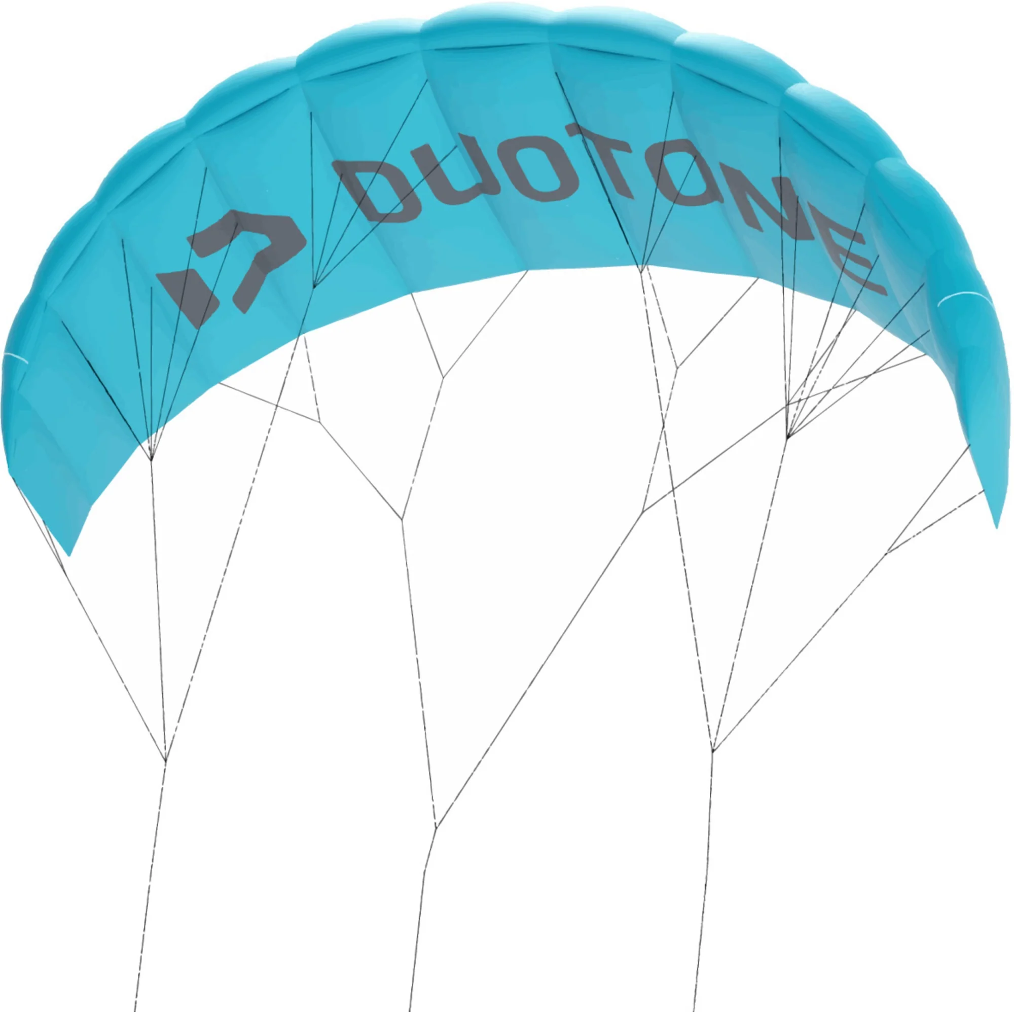 2026 Duotone Trainer kite - Lizard